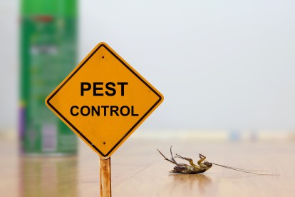 Pest Contol in Addlestone, New Haw, Woodham, KT15. Call Now 020 8166 9746